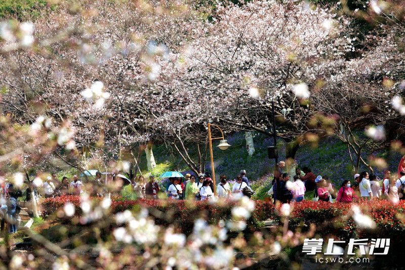 AG旗舰厅(中国游)官方网站