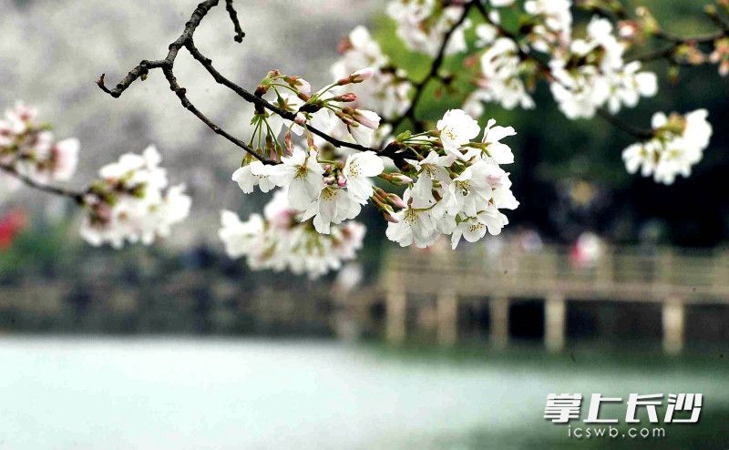 AG旗舰厅(中国游)官方网站