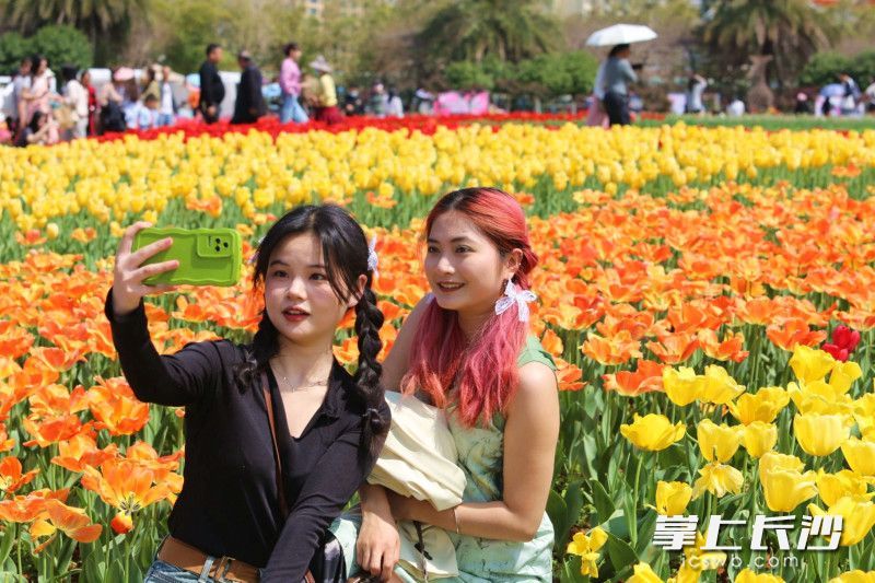AG旗舰厅(中国游)官方网站