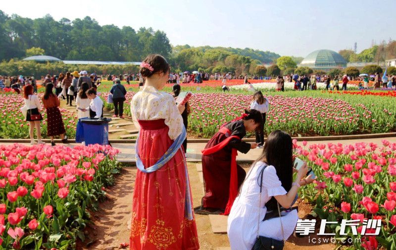 AG旗舰厅(中国游)官方网站