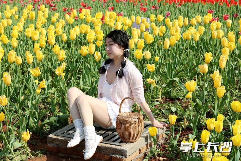 AG旗舰厅(中国游)官方网站