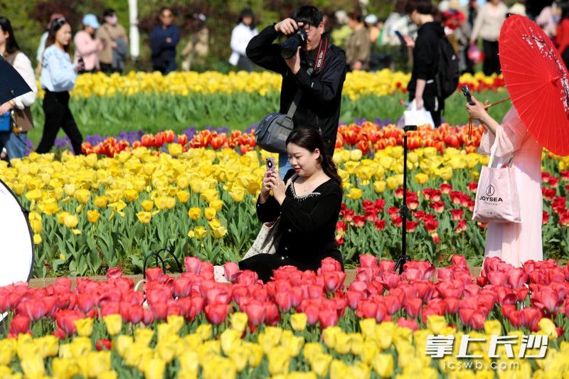 AG旗舰厅(中国游)官方网站