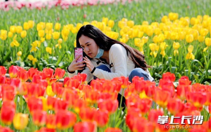 AG旗舰厅(中国游)官方网站