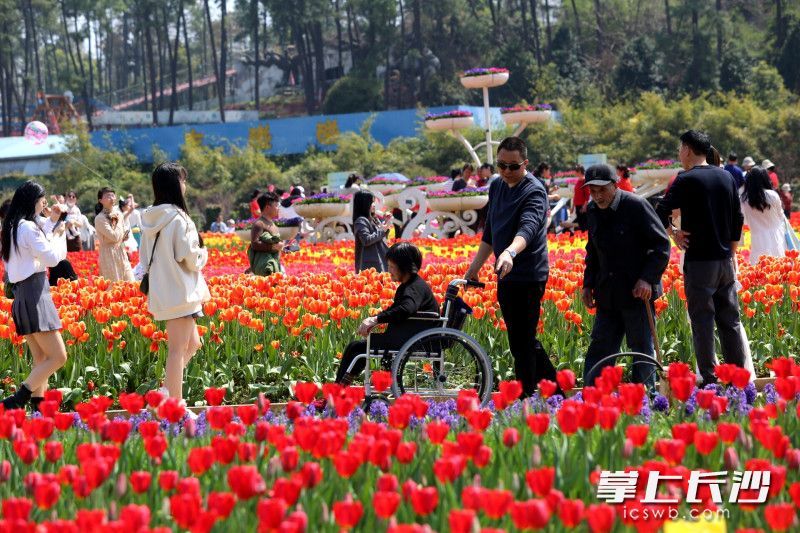AG旗舰厅(中国游)官方网站