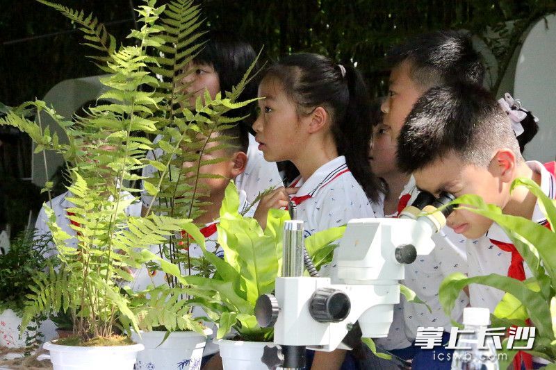 AG旗舰厅(中国游)官方网站
