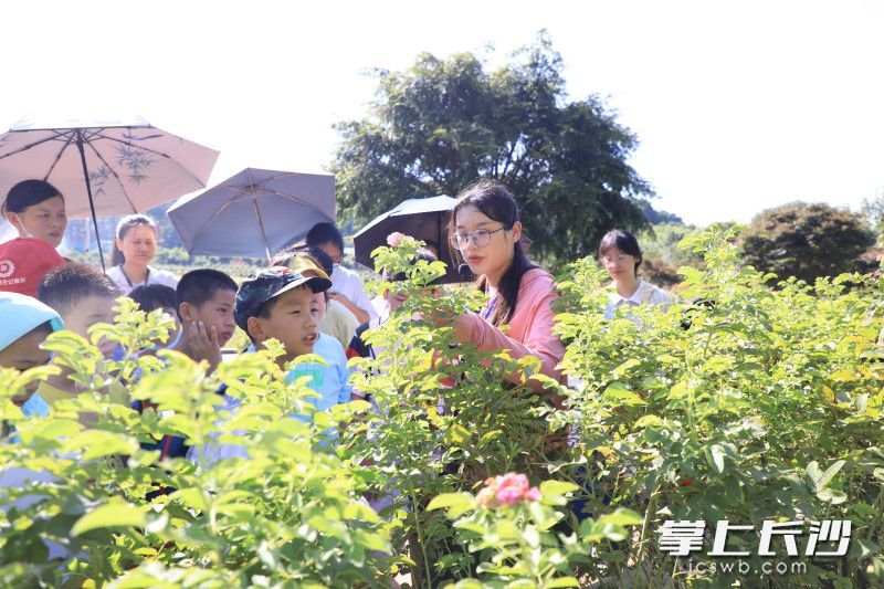 AG旗舰厅(中国游)官方网站