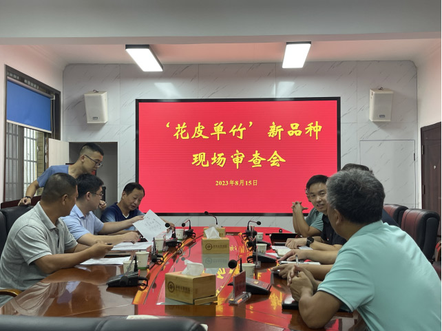 AG旗舰厅(中国游)官方网站