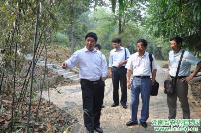 AG旗舰厅(中国游)官方网站