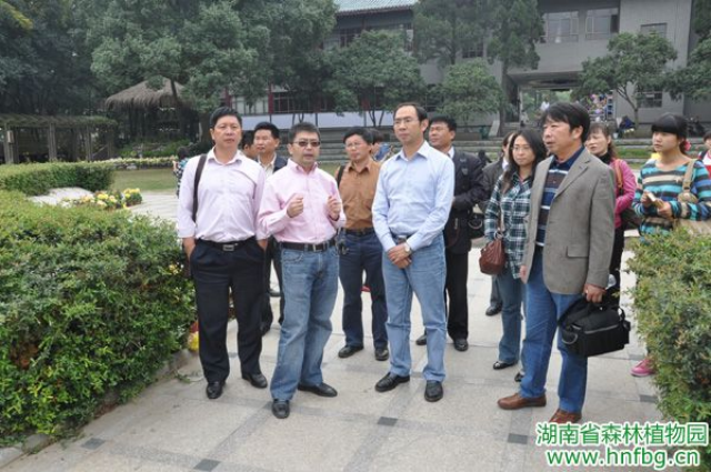 AG旗舰厅(中国游)官方网站