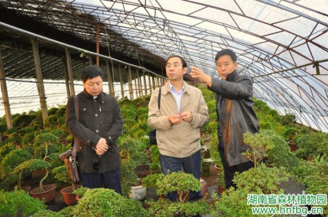 AG旗舰厅(中国游)官方网站
