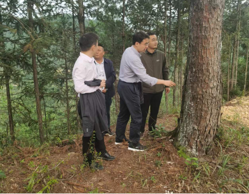 AG旗舰厅(中国游)官方网站