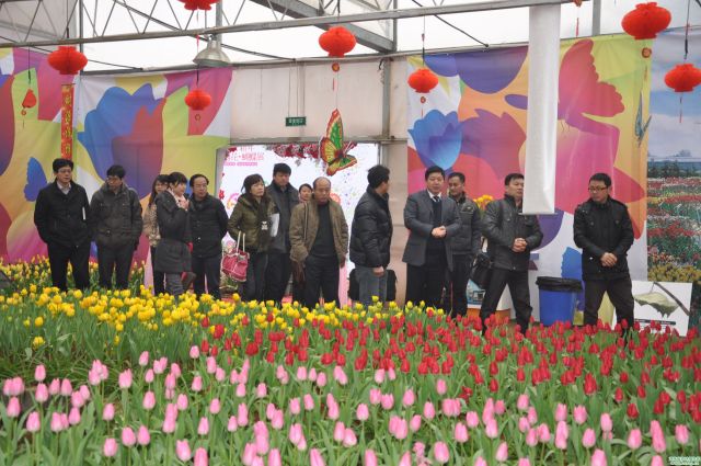 AG旗舰厅(中国游)官方网站
