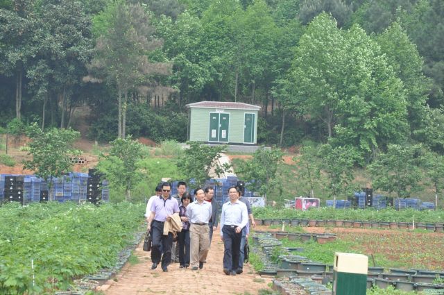 AG旗舰厅(中国游)官方网站