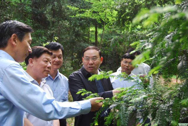AG旗舰厅(中国游)官方网站
