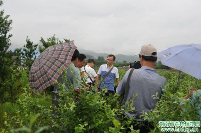 AG旗舰厅(中国游)官方网站