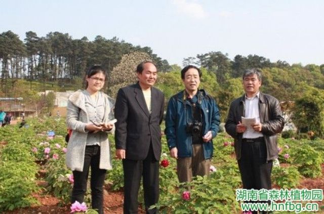 AG旗舰厅(中国游)官方网站