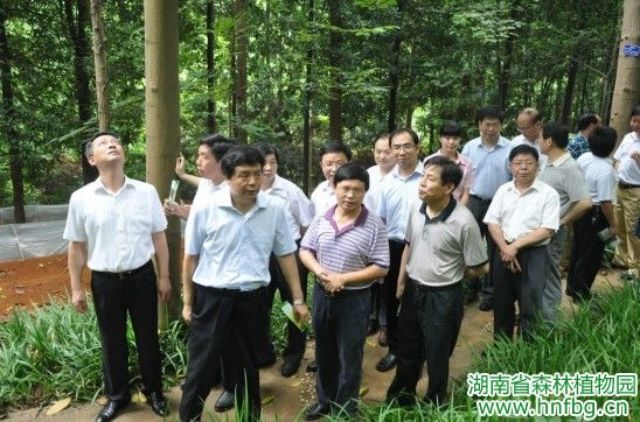 AG旗舰厅(中国游)官方网站