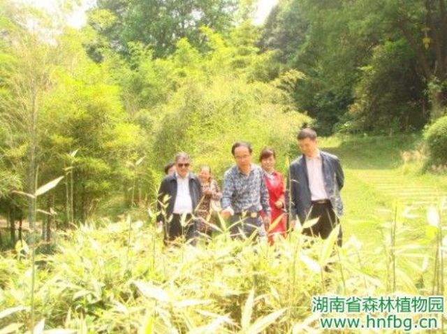 AG旗舰厅(中国游)官方网站
