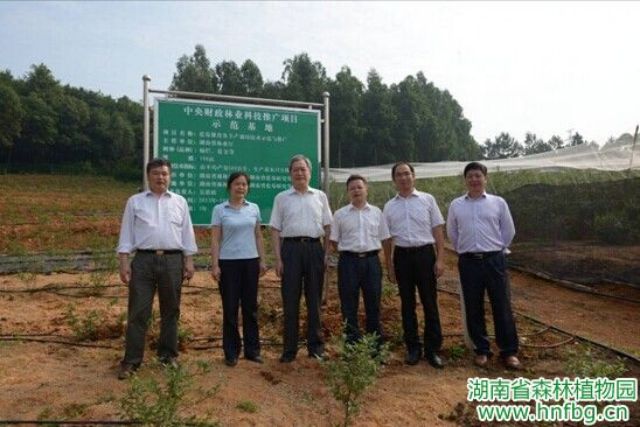 AG旗舰厅(中国游)官方网站