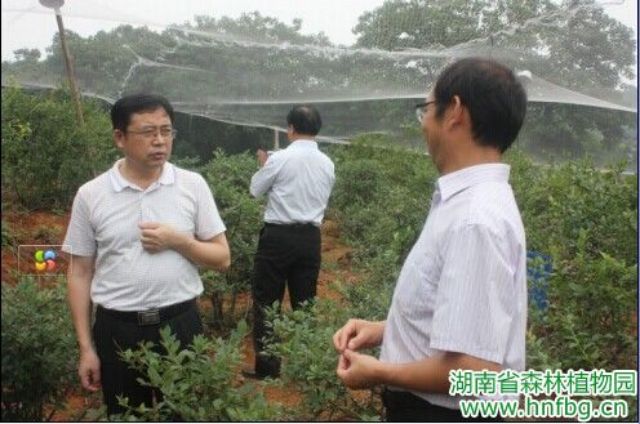 AG旗舰厅(中国游)官方网站