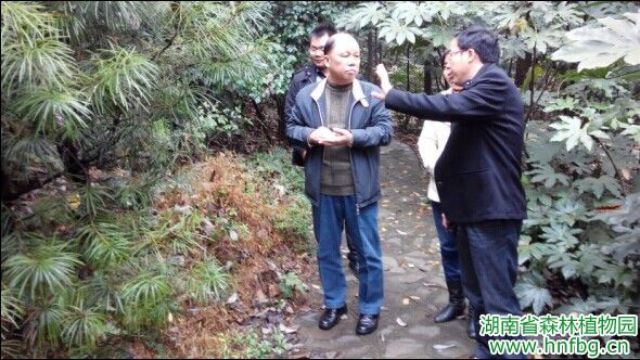 AG旗舰厅(中国游)官方网站