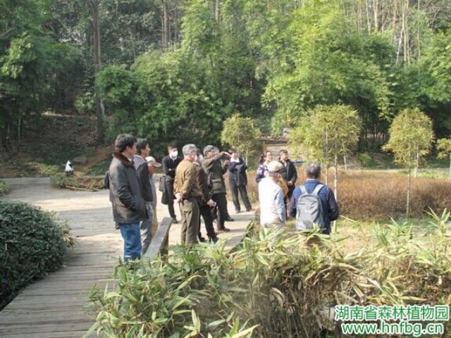 AG旗舰厅(中国游)官方网站