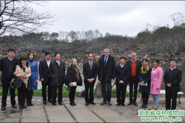 AG旗舰厅(中国游)官方网站