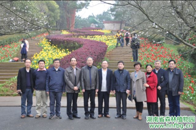 AG旗舰厅(中国游)官方网站