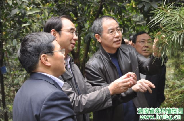 AG旗舰厅(中国游)官方网站