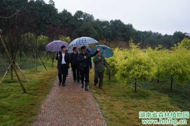 AG旗舰厅(中国游)官方网站