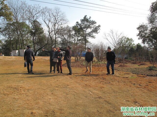 AG旗舰厅(中国游)官方网站