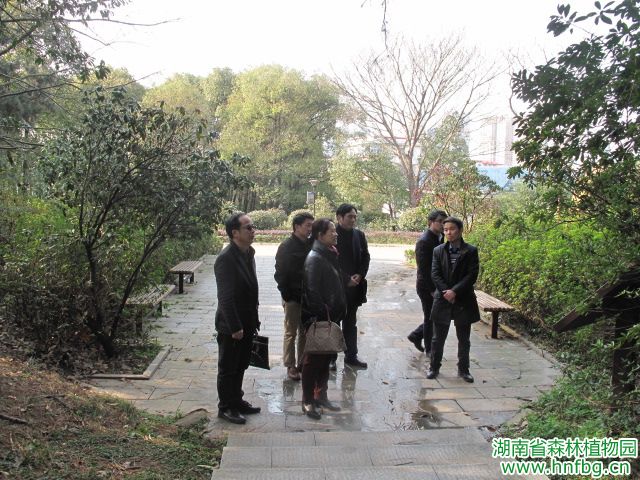 AG旗舰厅(中国游)官方网站