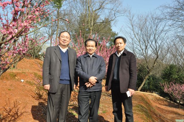 AG旗舰厅(中国游)官方网站