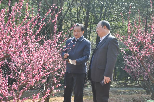 AG旗舰厅(中国游)官方网站