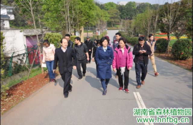 AG旗舰厅(中国游)官方网站