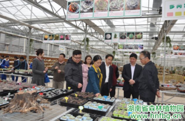 AG旗舰厅(中国游)官方网站