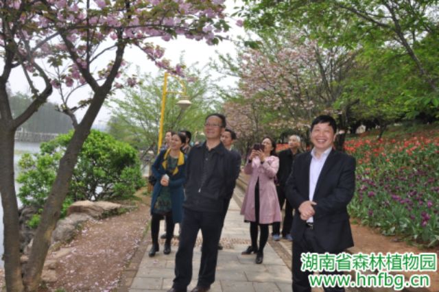 AG旗舰厅(中国游)官方网站