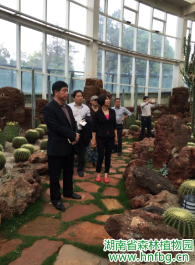 AG旗舰厅(中国游)官方网站
