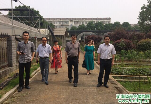 AG旗舰厅(中国游)官方网站
