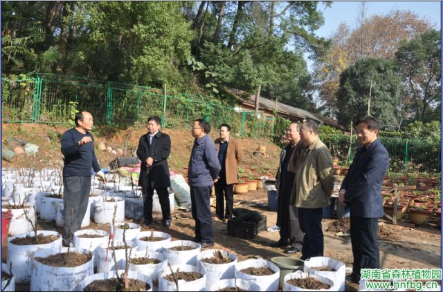AG旗舰厅(中国游)官方网站