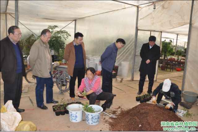 AG旗舰厅(中国游)官方网站