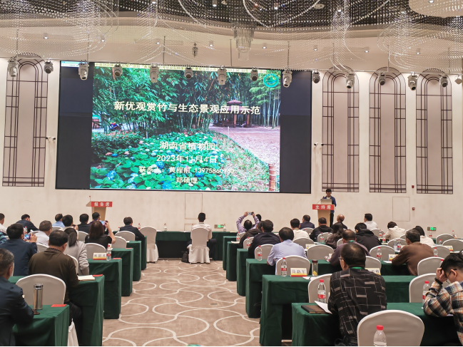 AG旗舰厅(中国游)官方网站