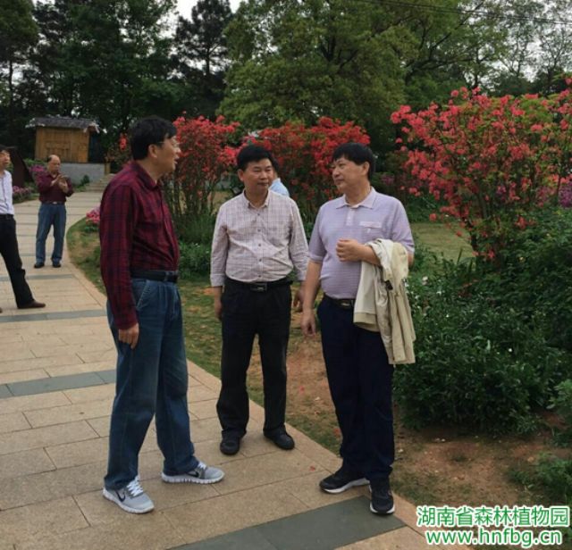AG旗舰厅(中国游)官方网站