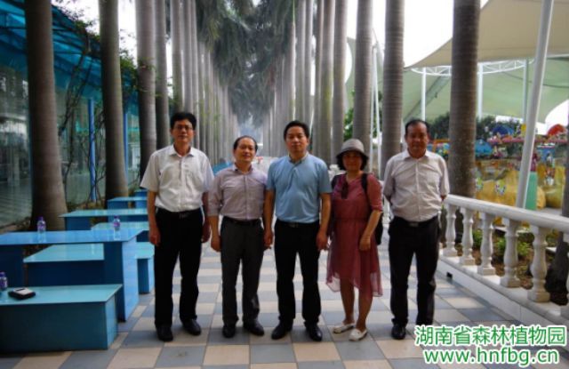 AG旗舰厅(中国游)官方网站