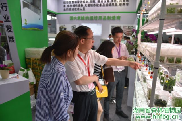 AG旗舰厅(中国游)官方网站