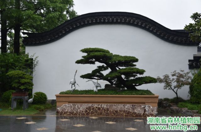 AG旗舰厅(中国游)官方网站