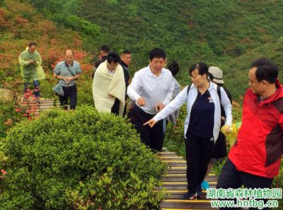AG旗舰厅(中国游)官方网站