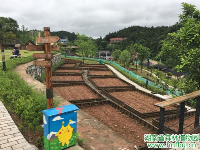 AG旗舰厅(中国游)官方网站