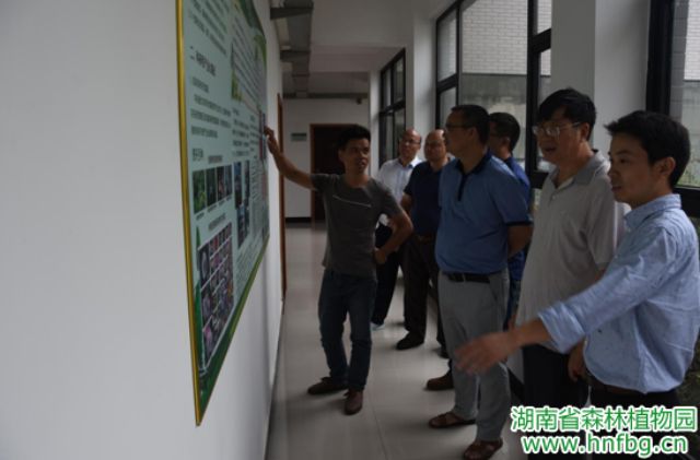 AG旗舰厅(中国游)官方网站