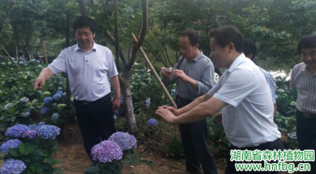 AG旗舰厅(中国游)官方网站